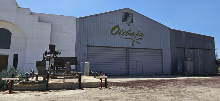 20250423 112119 768x355