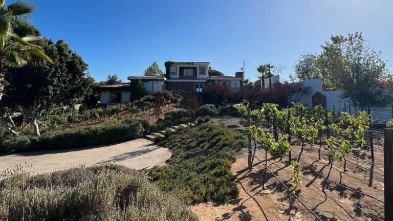 CasaMarieta BNB 25 768x432