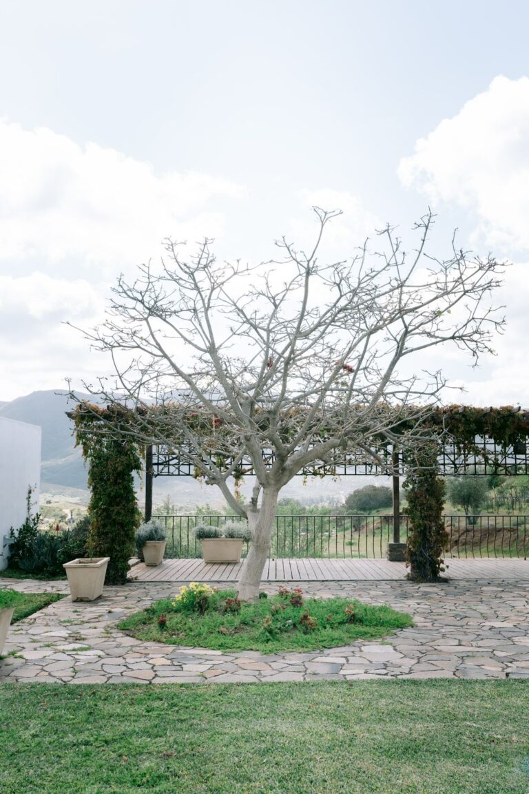 CasaMarieta BNB 8 768x1153