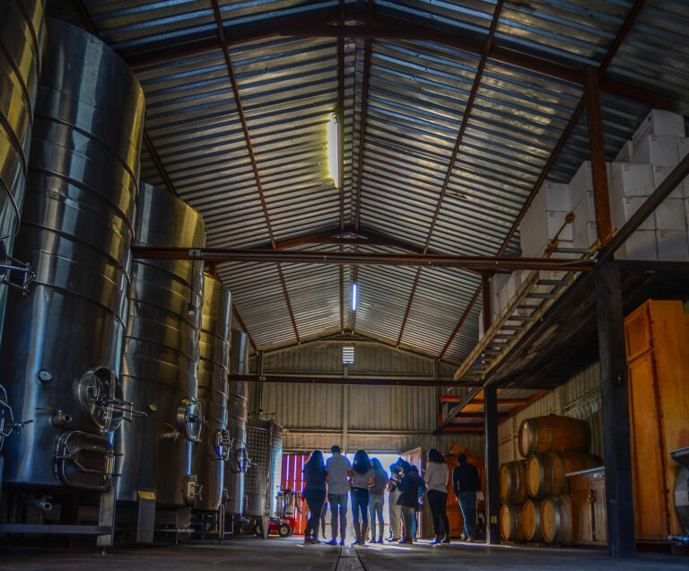 QMV 4234 Edit Edit 768x636