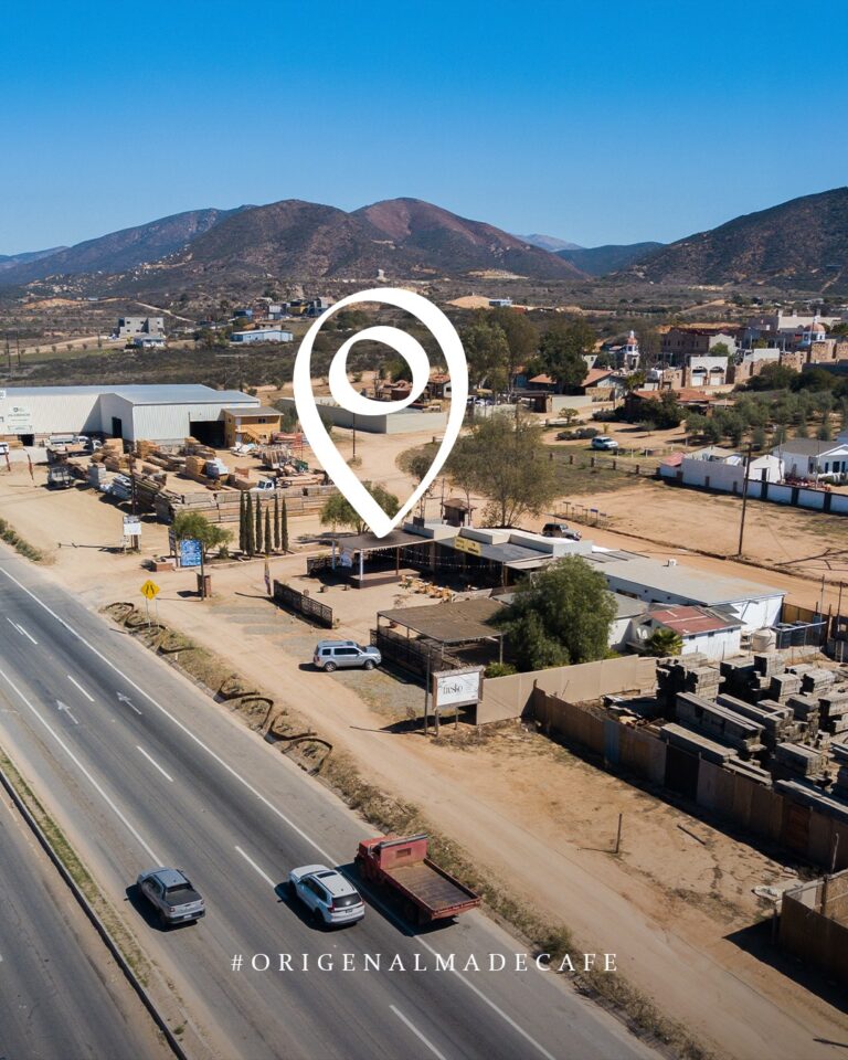 cafe orgin 17 768x960