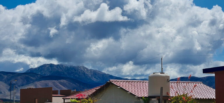 20250427 095902 1 768x355