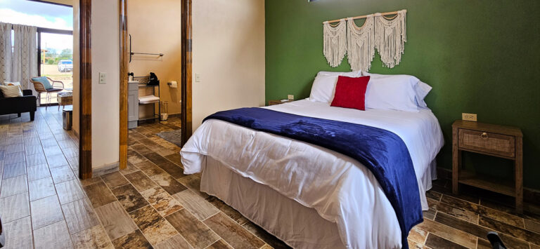 20250427 105357 768x355