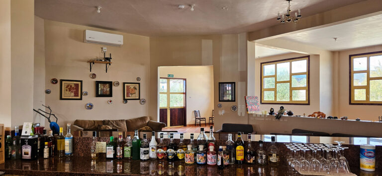 20250427 111750 768x355