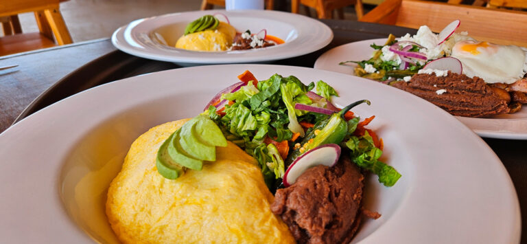 20250511 104556 1 768x355