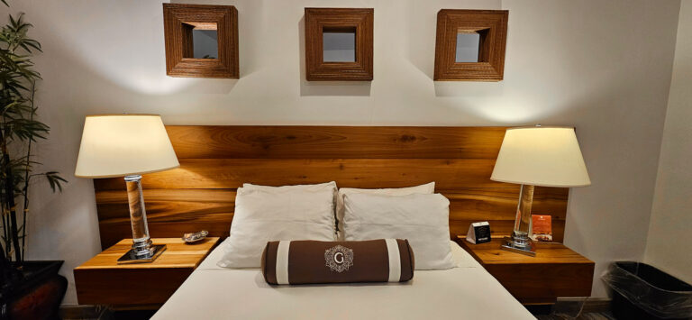 20250527 124050 768x355