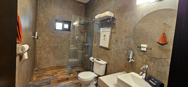 20250527 125314 768x355