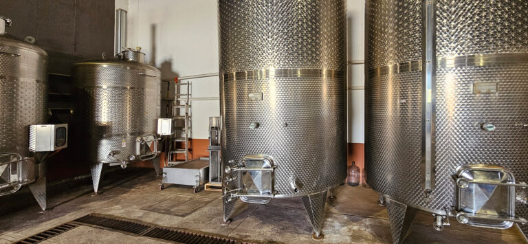 Inside Dubacano’s Immersive Wine Lounge