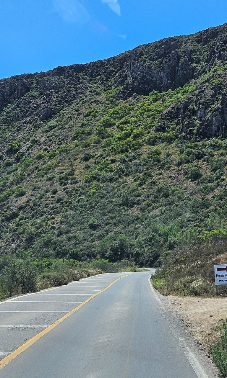 20250613 114415 768x1281