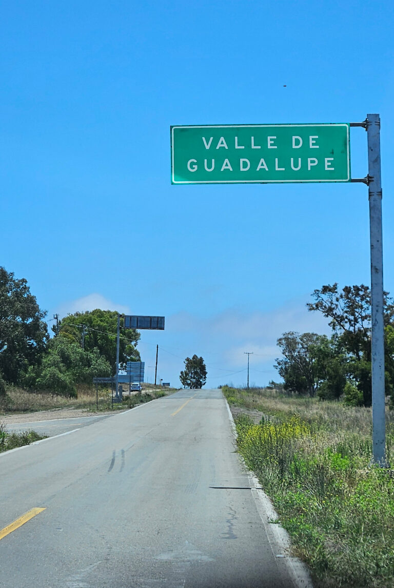 20250613 115747 768x1146