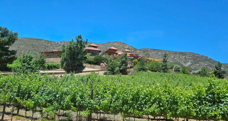 20250613 122225 768x409