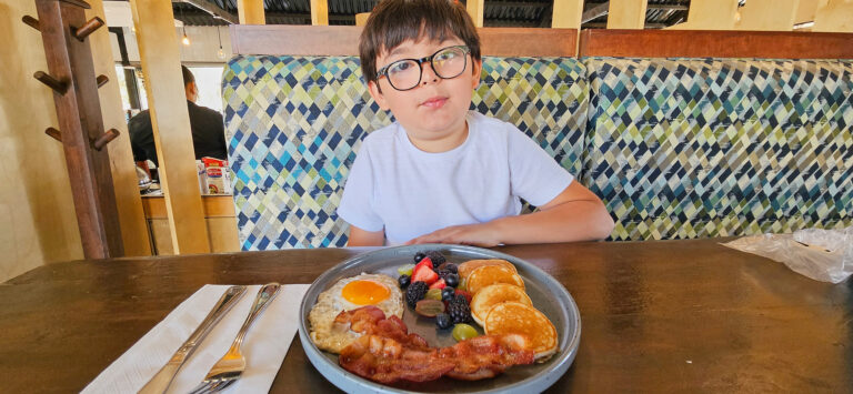 20250622 110541 768x355