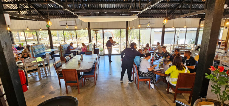 20250622 1139220 768x355