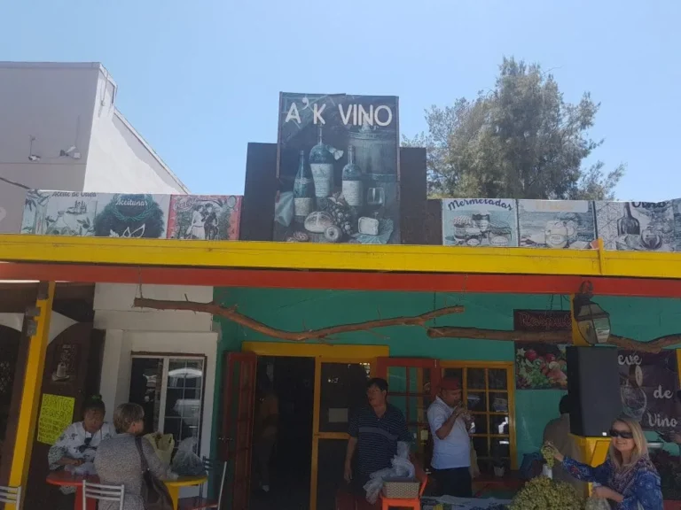 A K Vino 9 1024x768.jpg 768x576