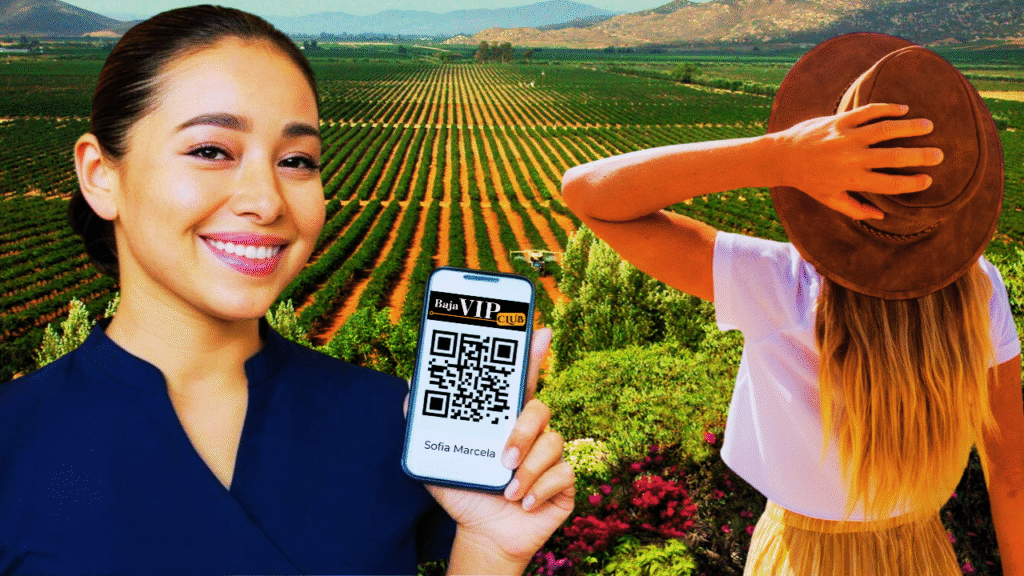 Local Valle de Guadalupe merchant showing a guest’s digital Baja VIP Club Pass on a smartphone for exclusive perks and discounts