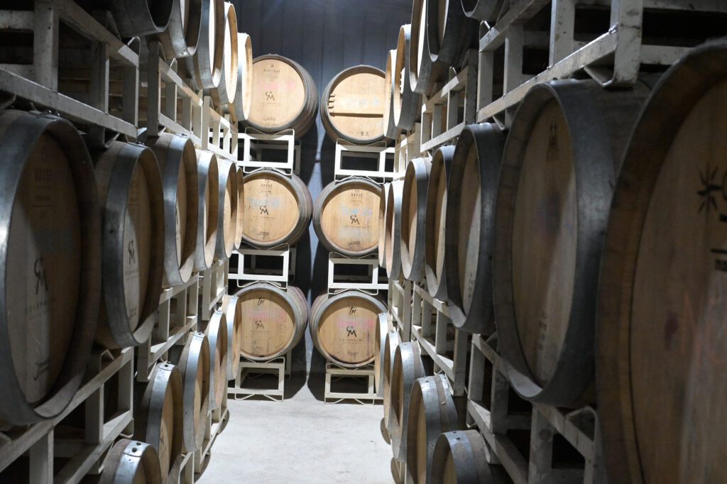 Interior de la cava de Cava Maciel con hileras de barricas de roble alineadas en un espacio cálido y silencioso.