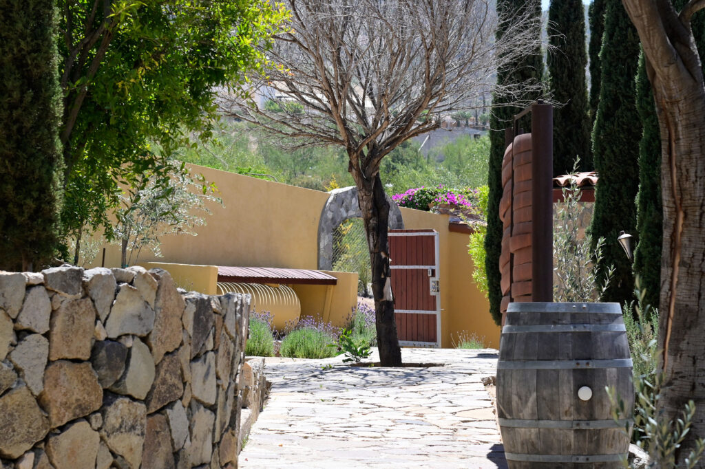 Camino de piedra entre viñedos dentro de Cava Maciel, rodeado de naturaleza y arquitectura rústica del Valle de Guadalupe