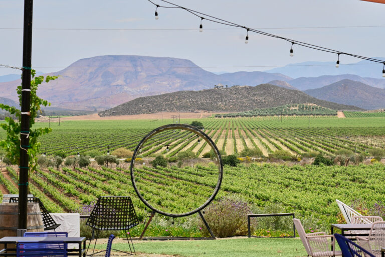 Chardonnay Moments at the Sensory Bar
