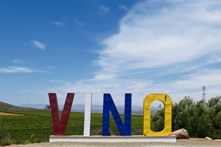 Dubacano Wine Experience