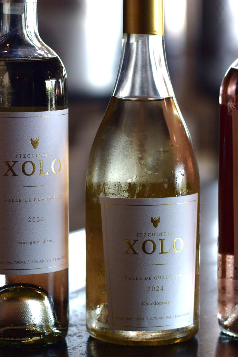 XOLO3DSC 9365 768x1152