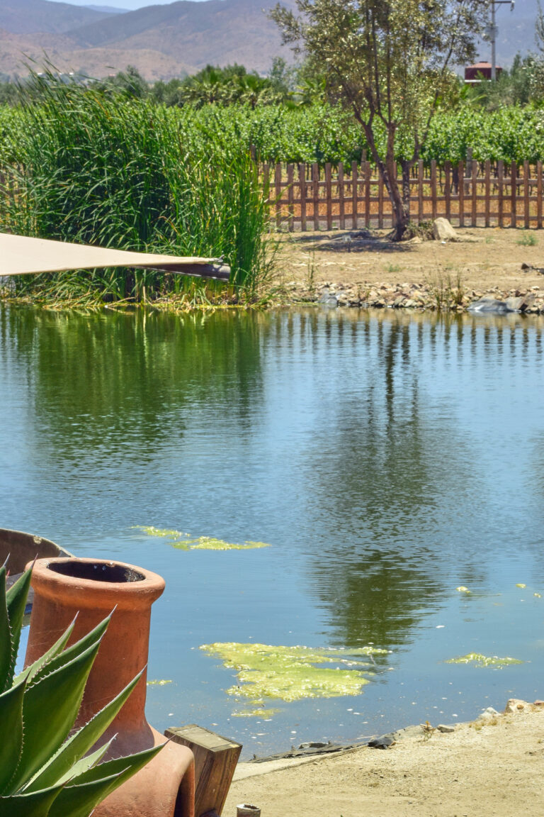 XOLODSC 9386 768x1152