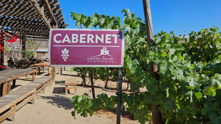 20250831 161935 768x432