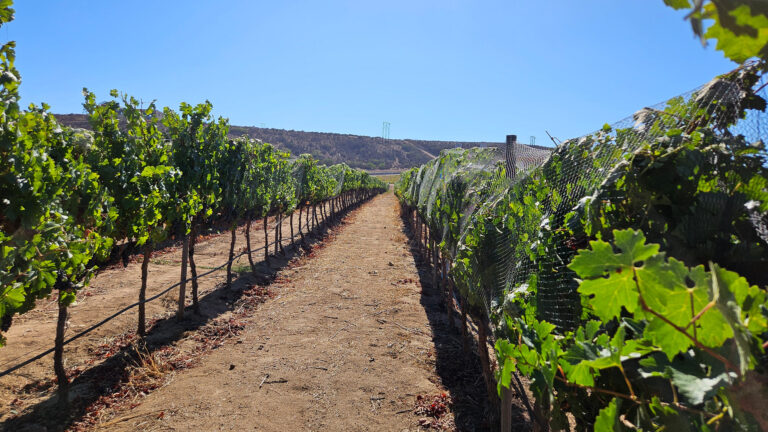 20250831 161942 768x432