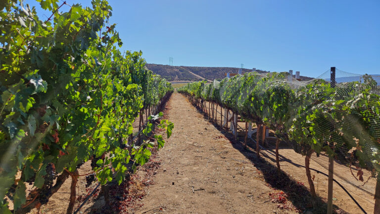 20250831 161948 768x432