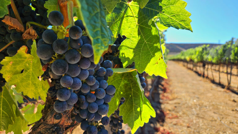 20250831 162037 768x432