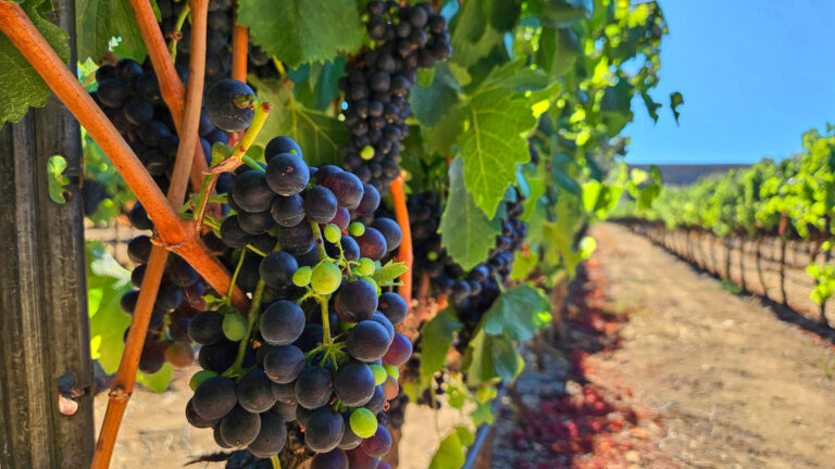 20250831 162206 768x432