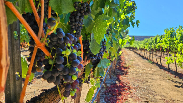 20250831 162212 768x432