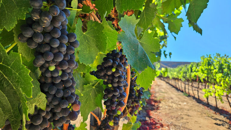 20250831 162217 768x432