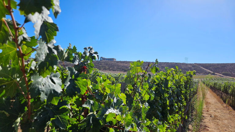 20250831 162405 768x432