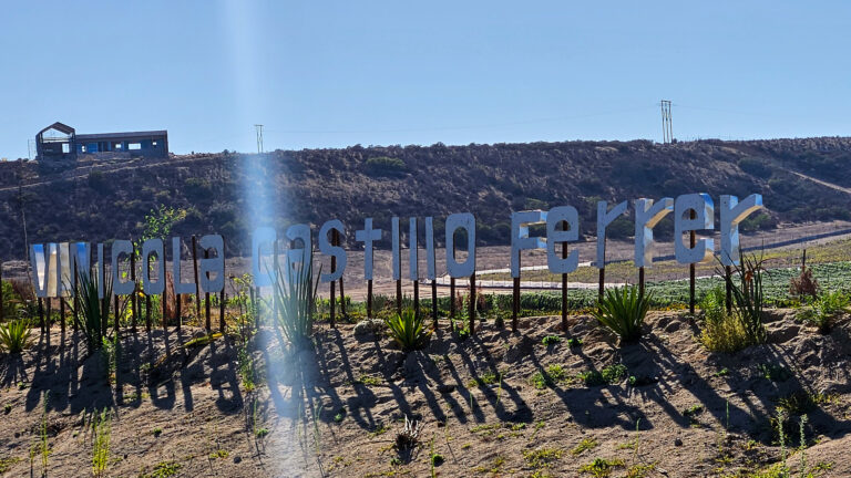 20250831 163938 768x432