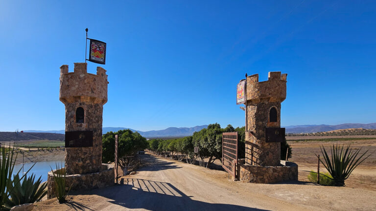 20250831 164141 768x432