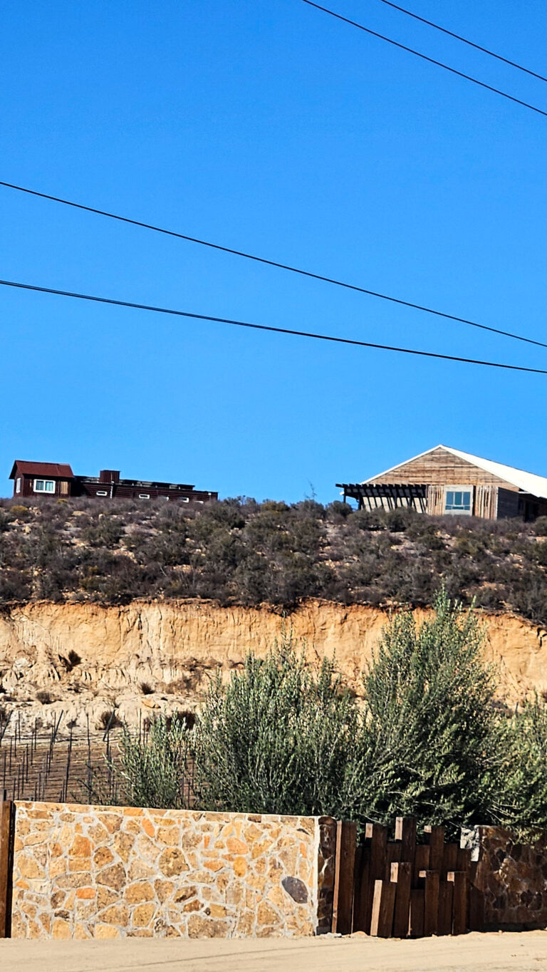 20250930 1612290 1 768x1364