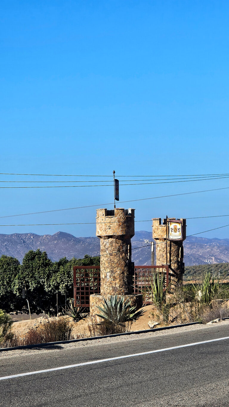 20250930 161308 1 768x1364