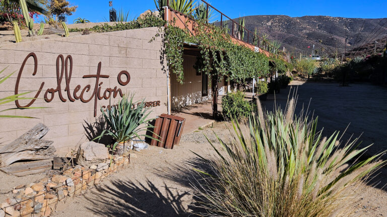 20250930 161936 1 768x432