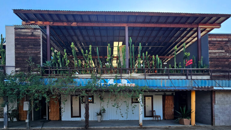 20250930 162046 1 768x432